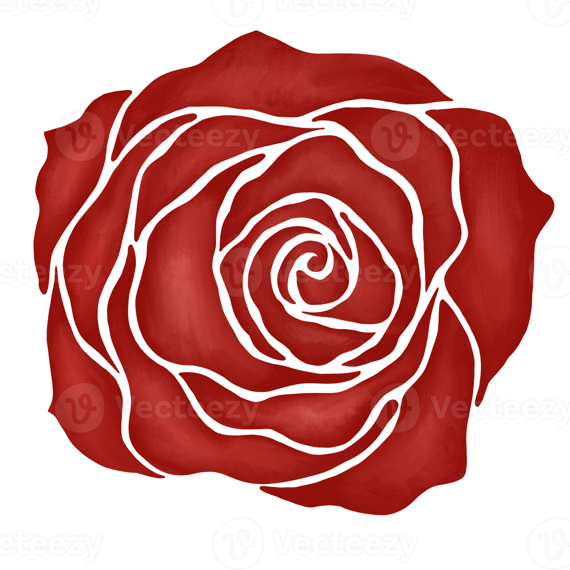 red rose flower drawing illustration 13168245 PNG
