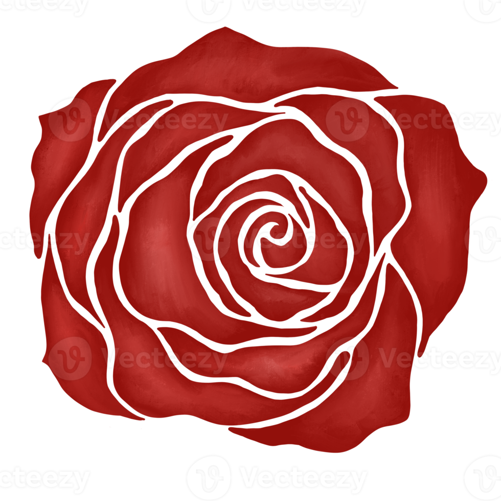 red rose flower drawing illustration png