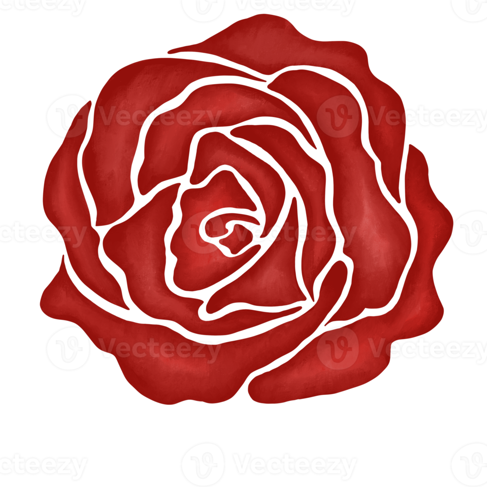 red rose flower drawing illustration png