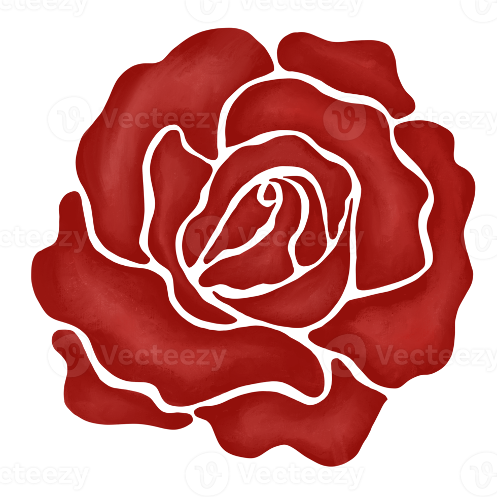 red rose flower drawing illustration png