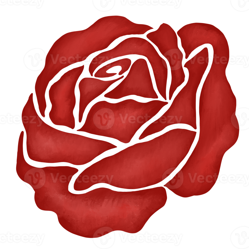 red rose flower drawing illustration png