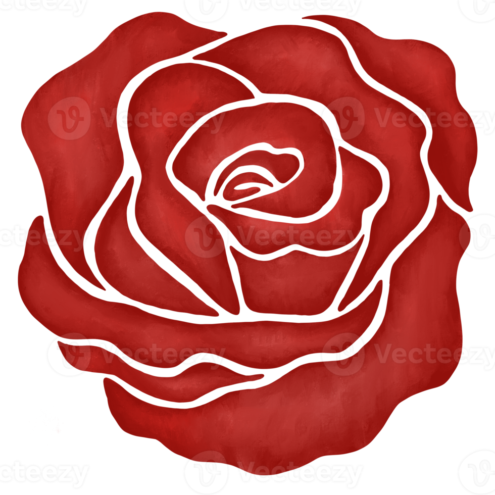red rose flower drawing illustration png