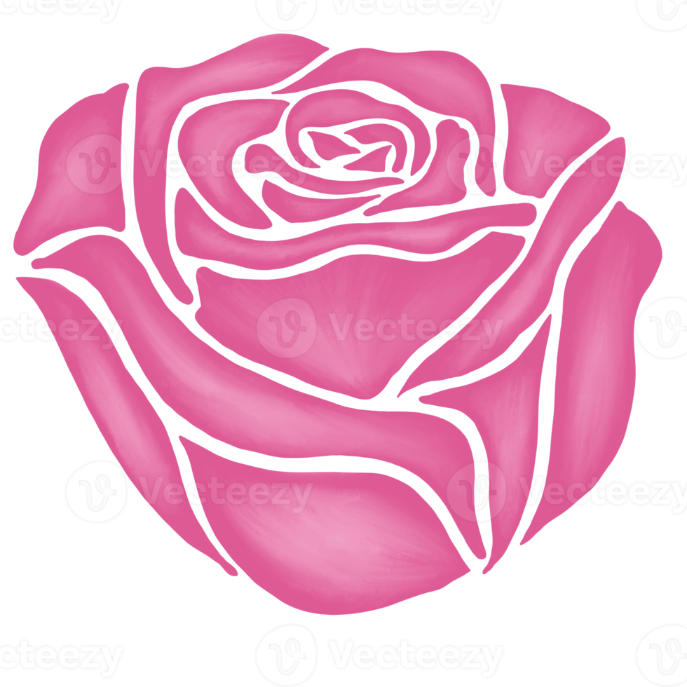 pink rose flower drawing illustration png