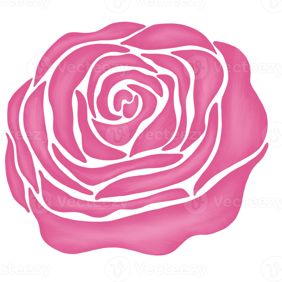 Free ilustração de desenho de flor rosa rosa 13168257 PNG with Transparent  Background