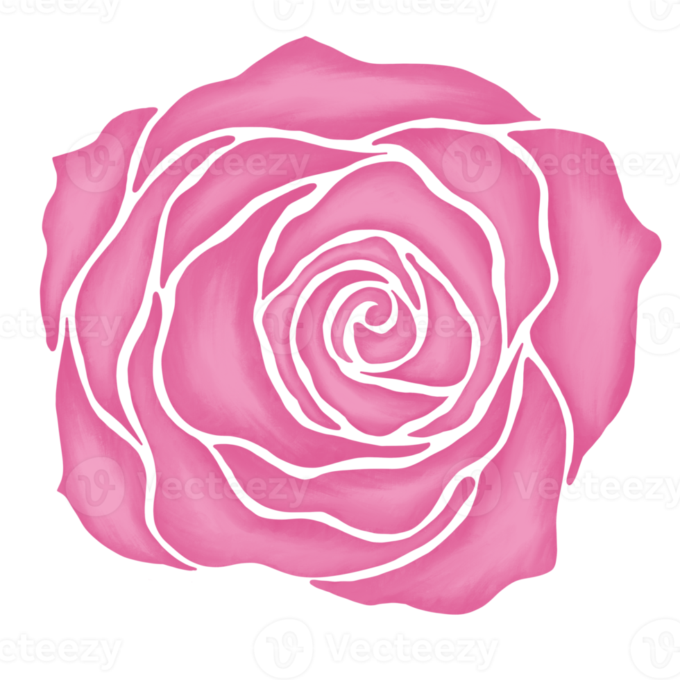 Discover 79+ pink rose sketch - seven.edu.vn