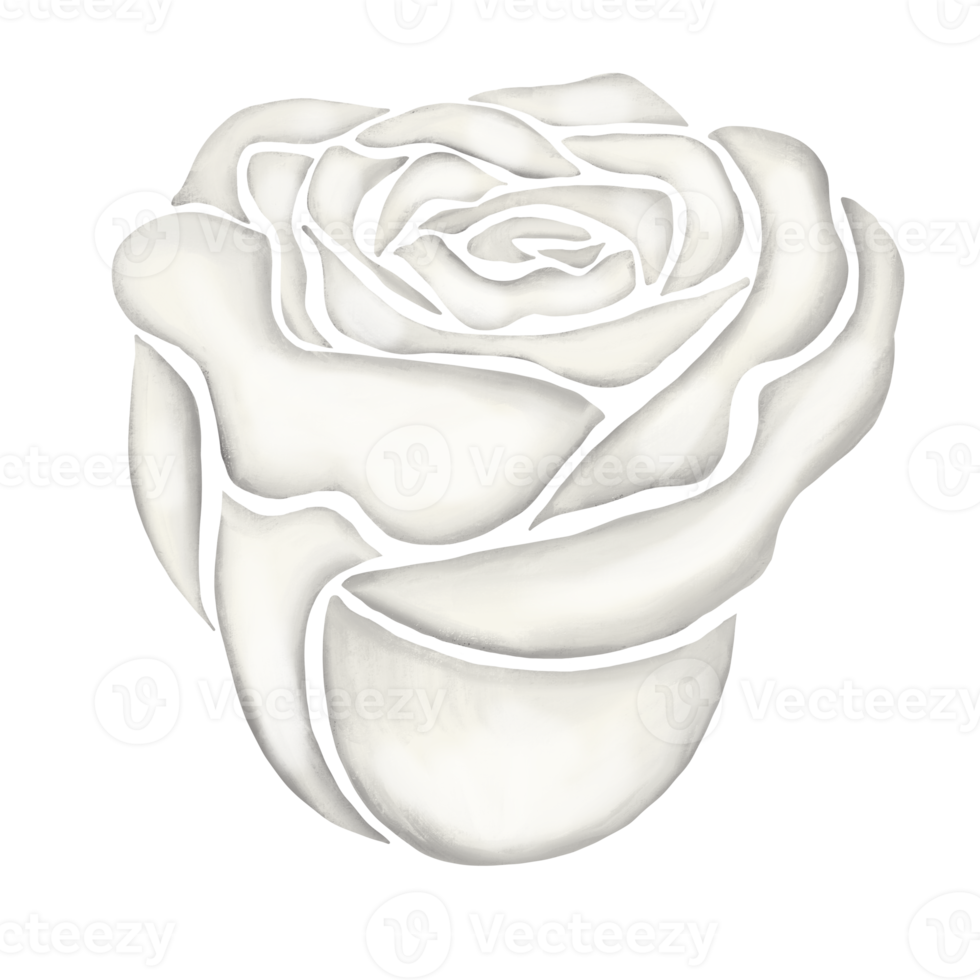 ilustración de dibujo de flor rosa blanca png