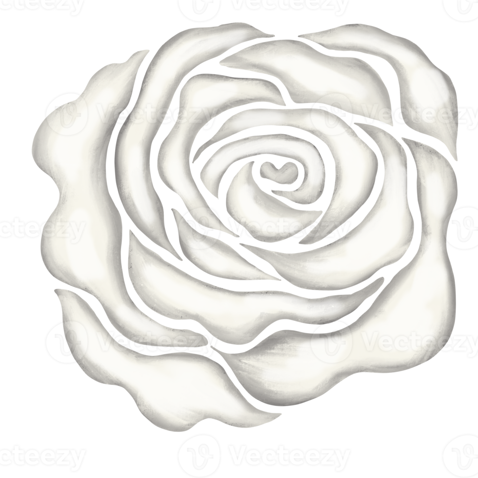 ilustración de dibujo de flor rosa blanca png