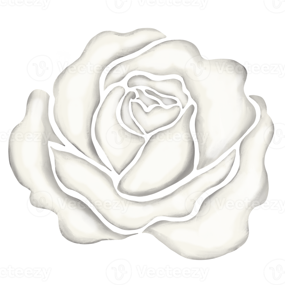 ilustración de dibujo de flor rosa blanca png