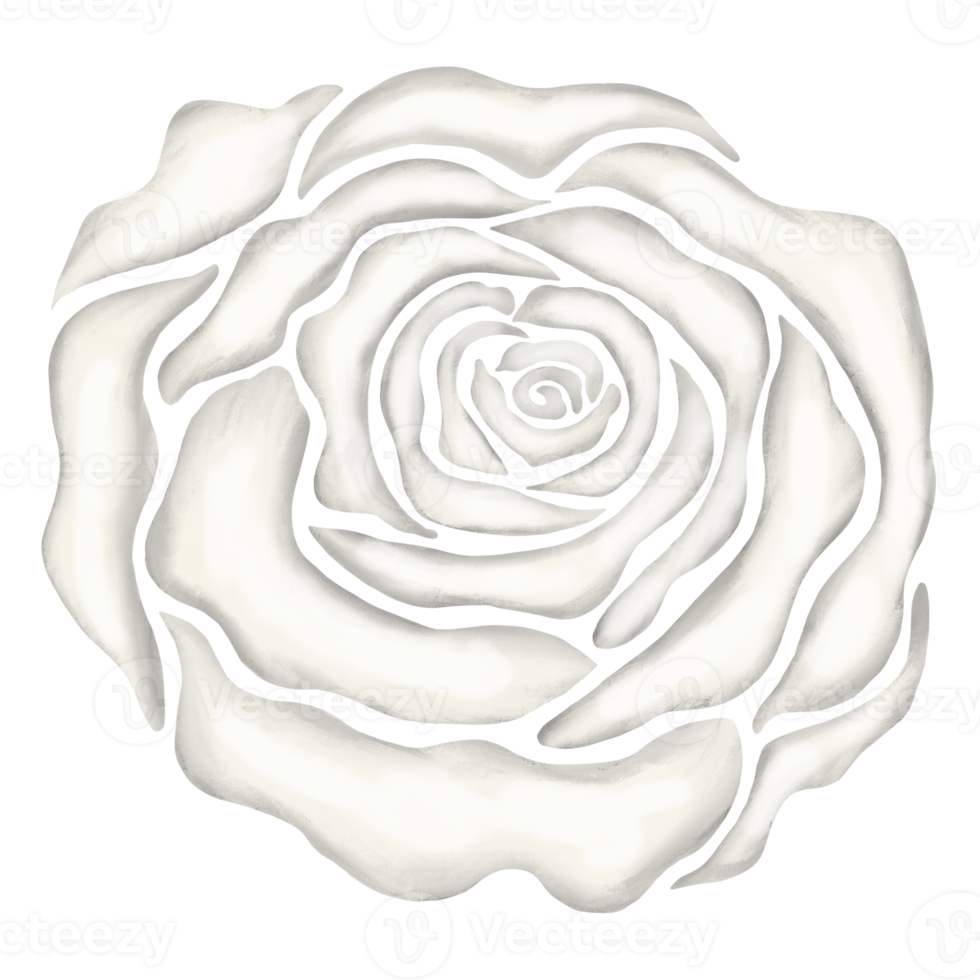 ilustración de dibujo de flor rosa blanca png