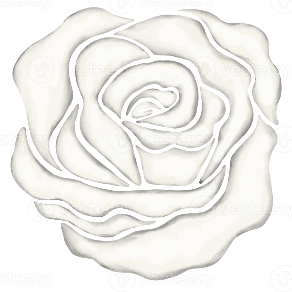 ilustración de dibujo de flor rosa blanca png