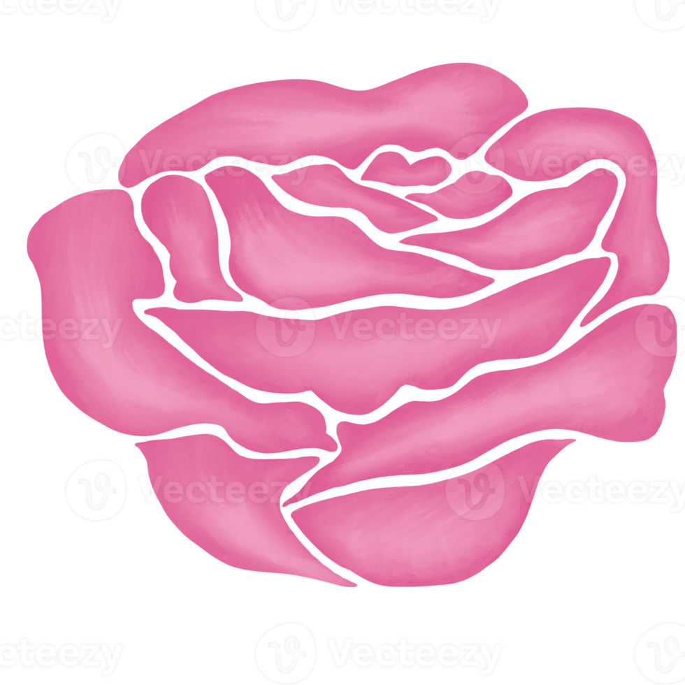 rosa reste sig blomma teckning illustration png