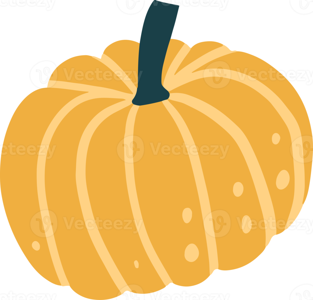 Cute pumpkin Illustration for design element png