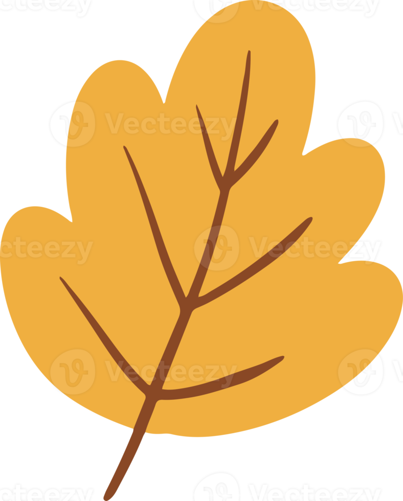 Cute hawthorn leaves Illustration for design element png