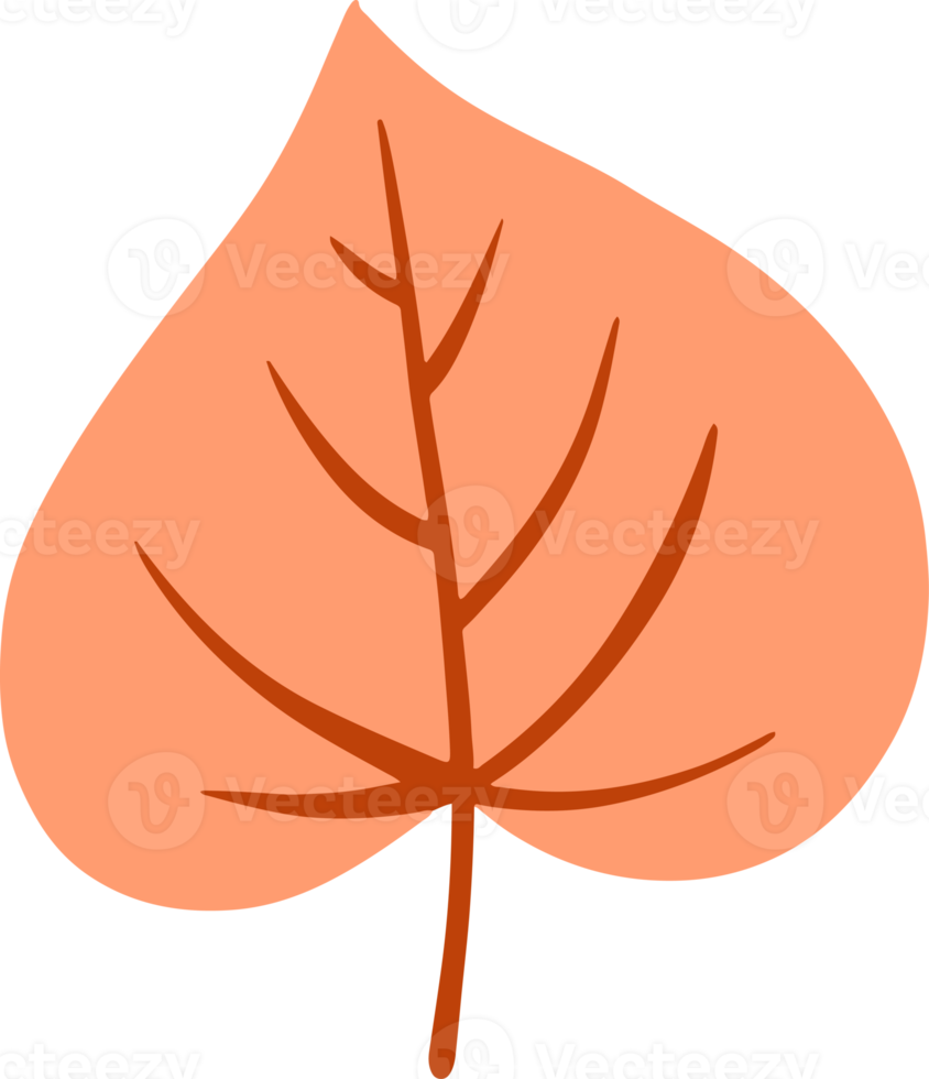 illustration de feuilles de peuplier mignon pour élément de conception png