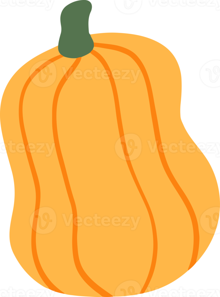 Cute pumpkin Illustration for design element png