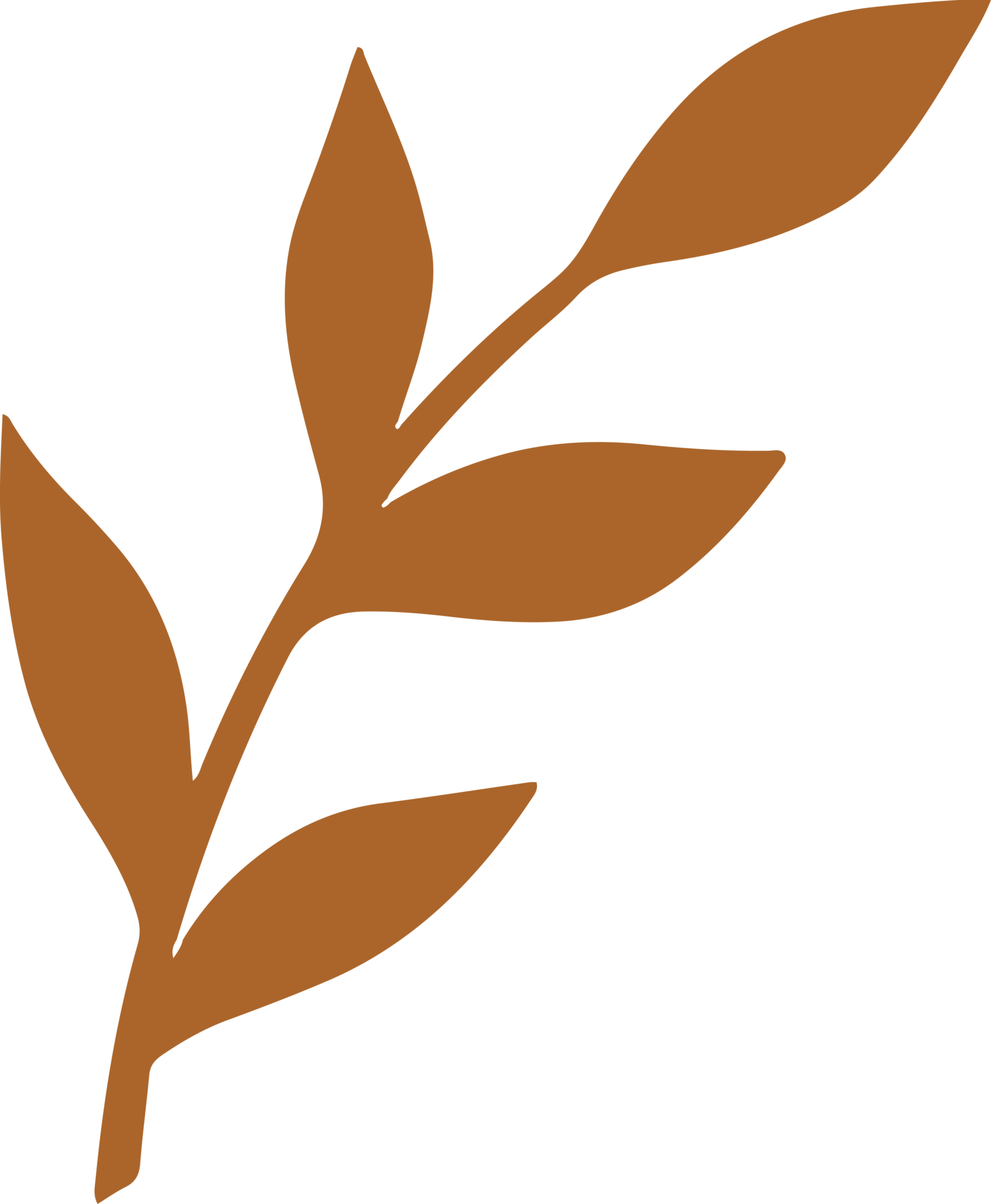 Cute sage leaves Illustration for design element 13168722 PNG