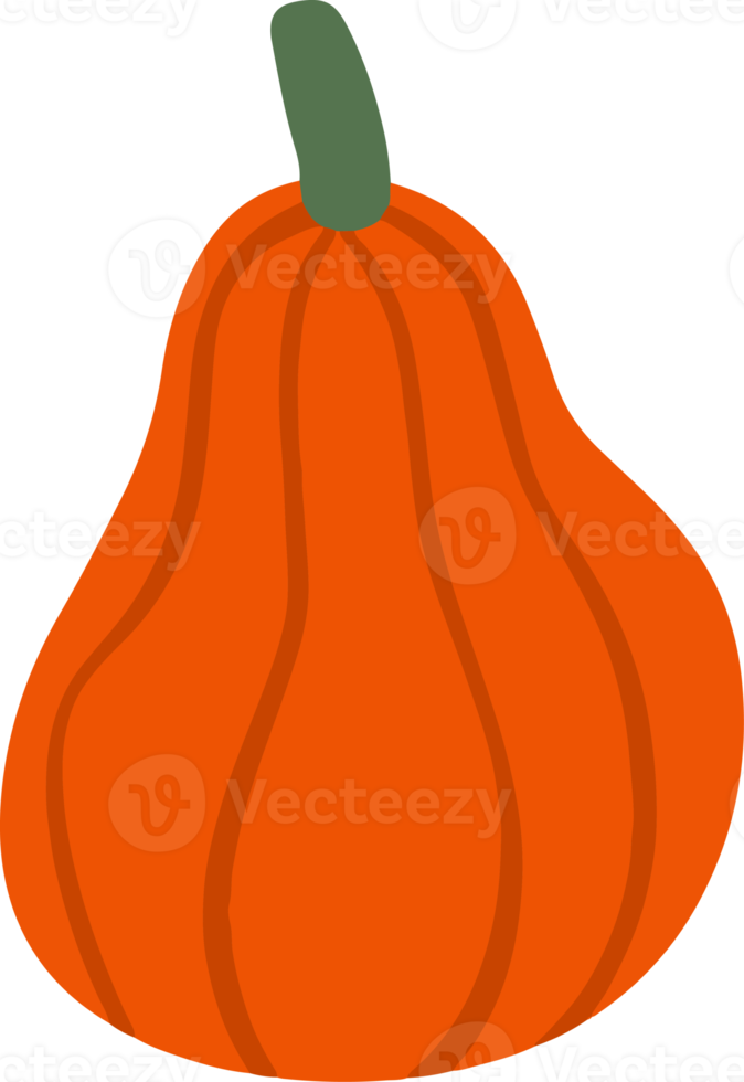 Cute pumpkin Illustration for design element png