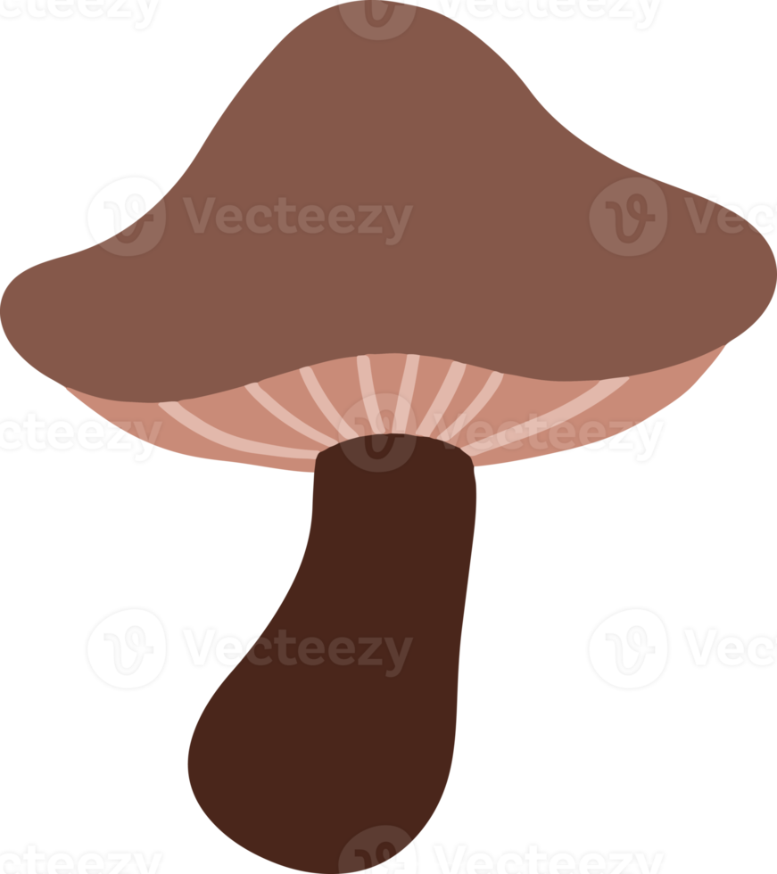 Cute mushroom Illustration for design element. autumn and thanksgiving clip art png