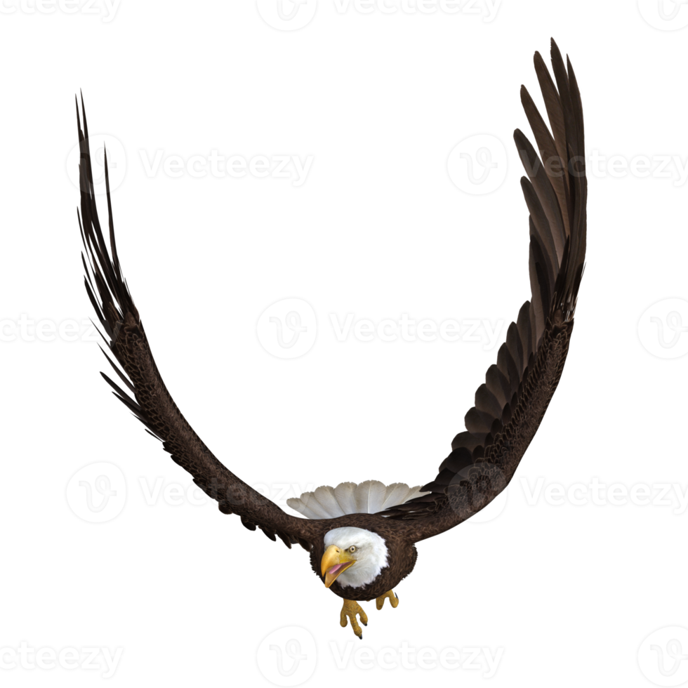 Águila voladora animal renderizado 3d png