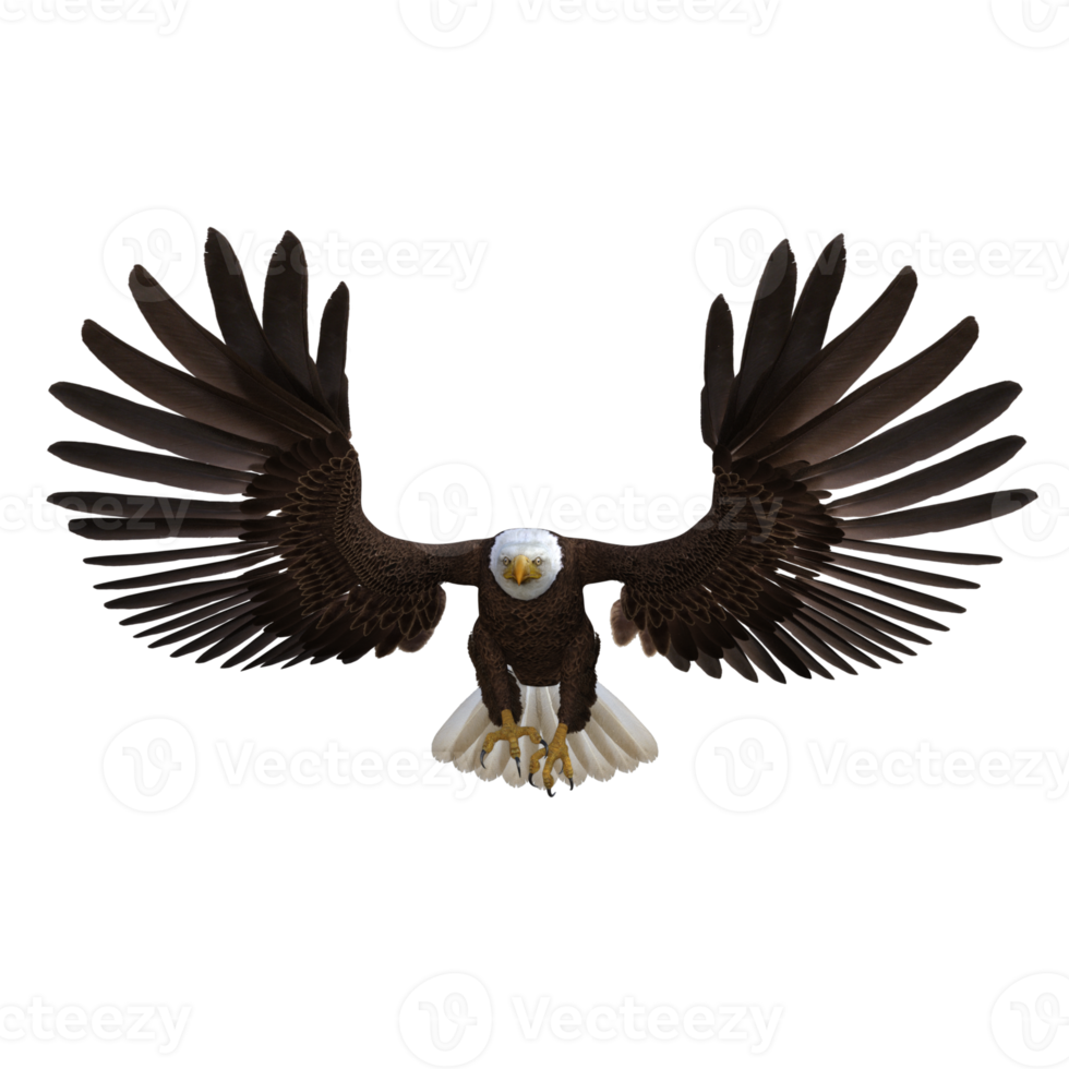 Eagle Flying animal 3d rendering png