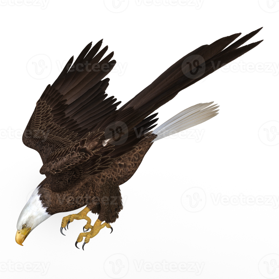 Águila voladora animal renderizado 3d png