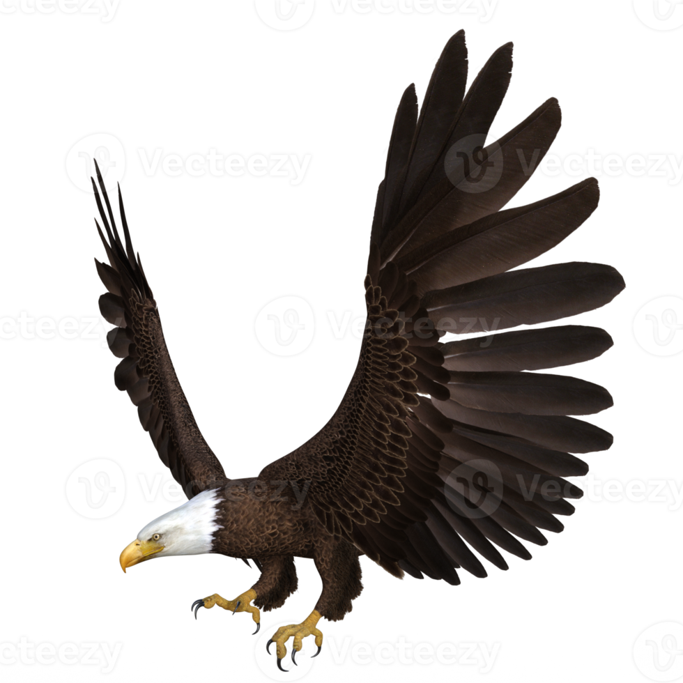 aigle volant animal rendu 3d png