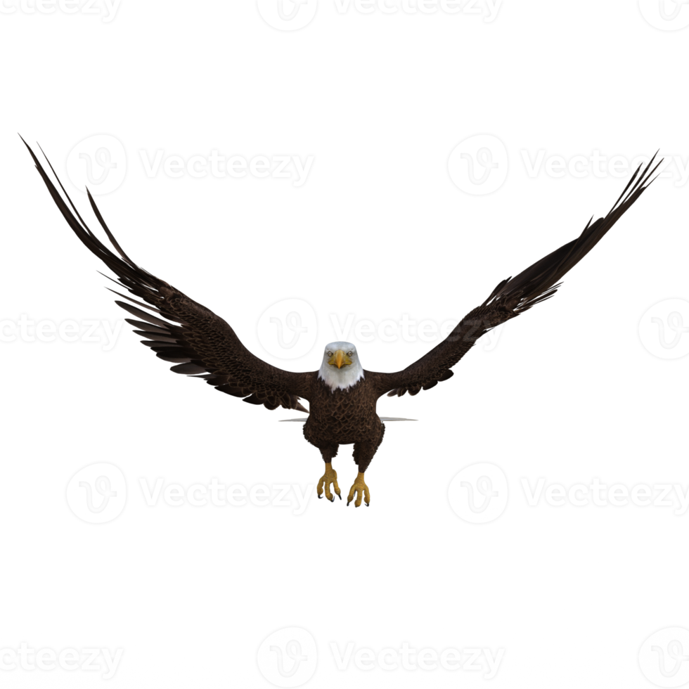 aigle volant animal rendu 3d png