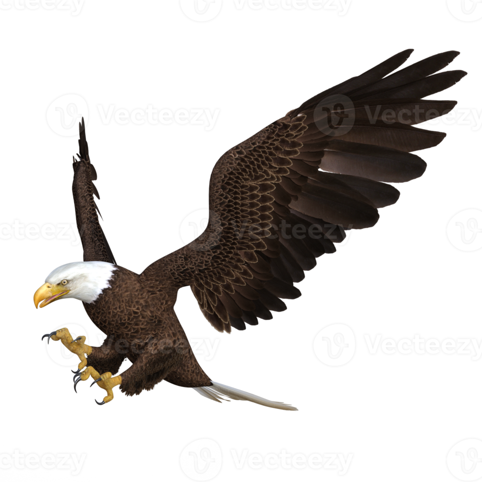 Águila voladora animal renderizado 3d png