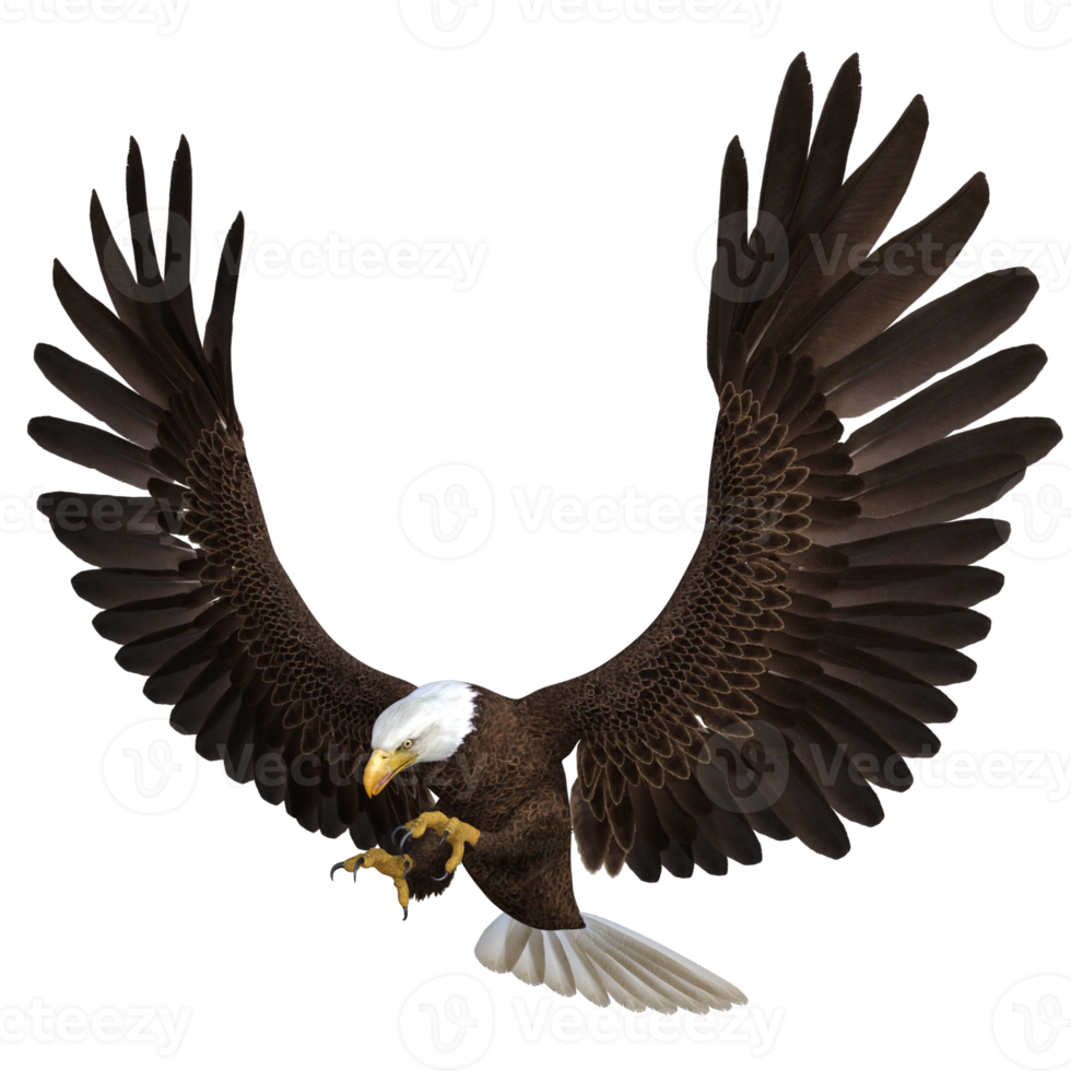 aigle volant animal rendu 3d png