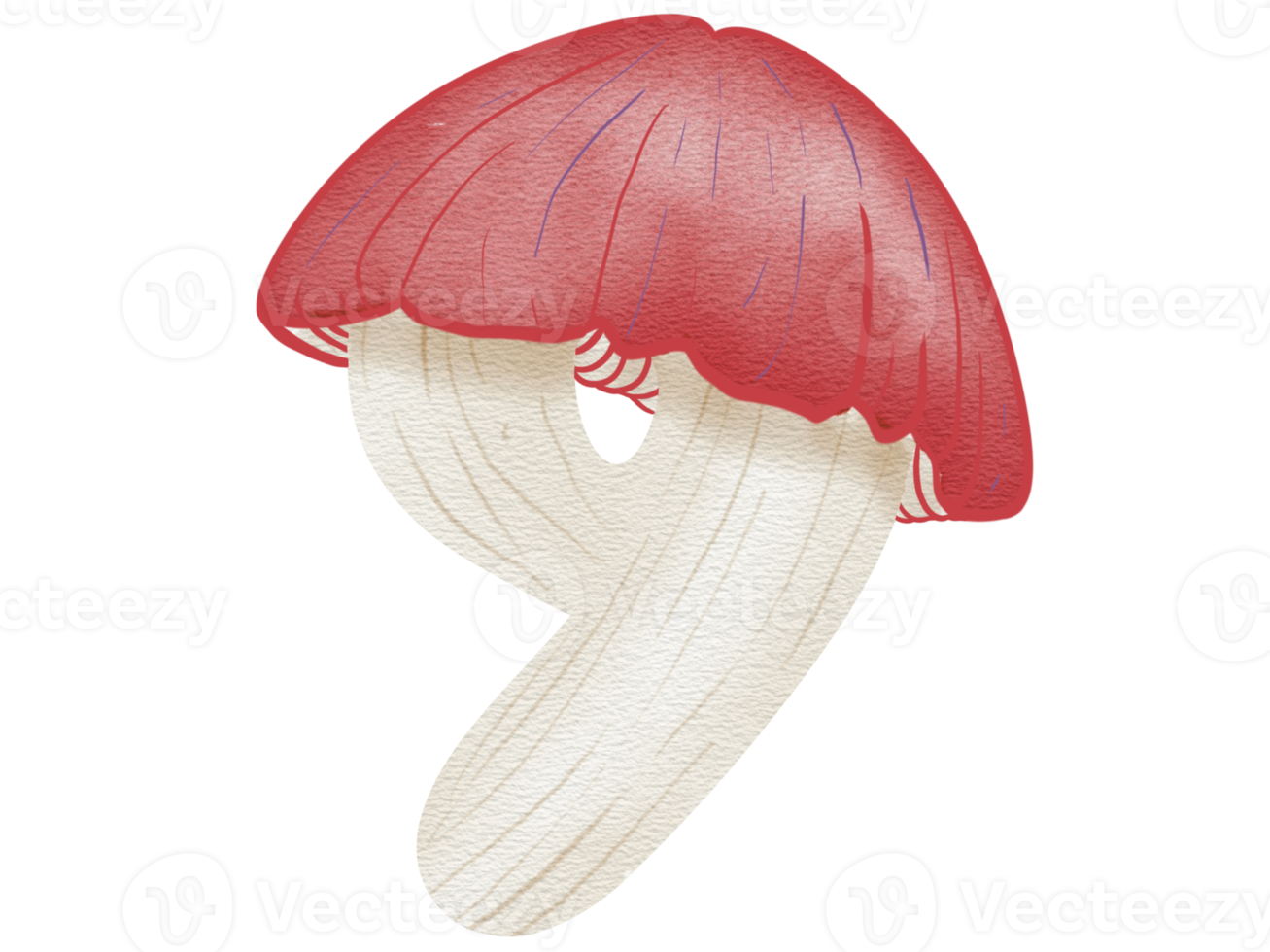 Number Mushroom in watercolor png