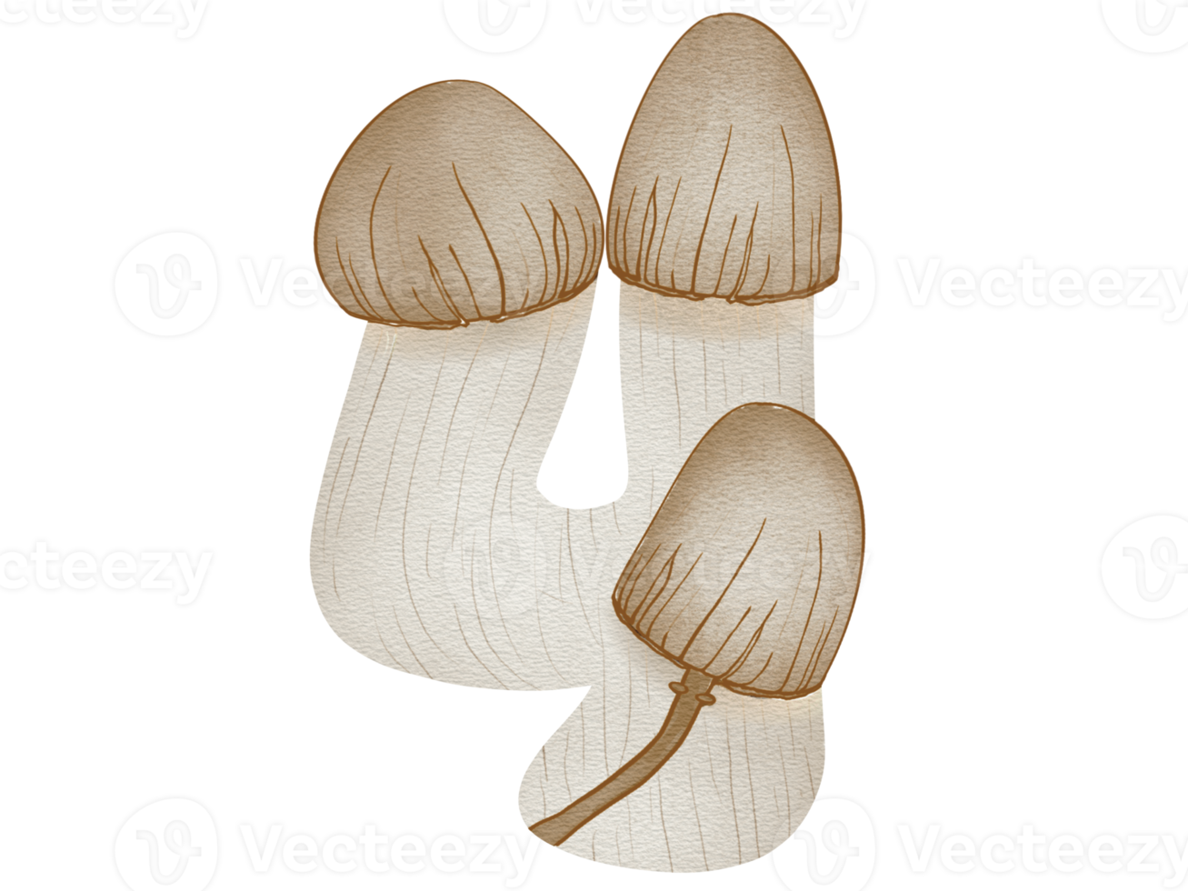 Number Mushroom in watercolor png