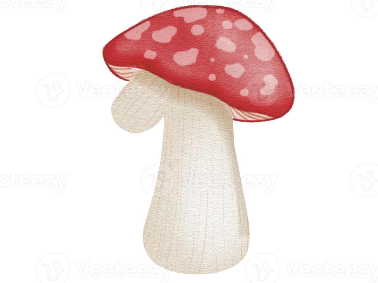 Number Mushroom in watercolor png