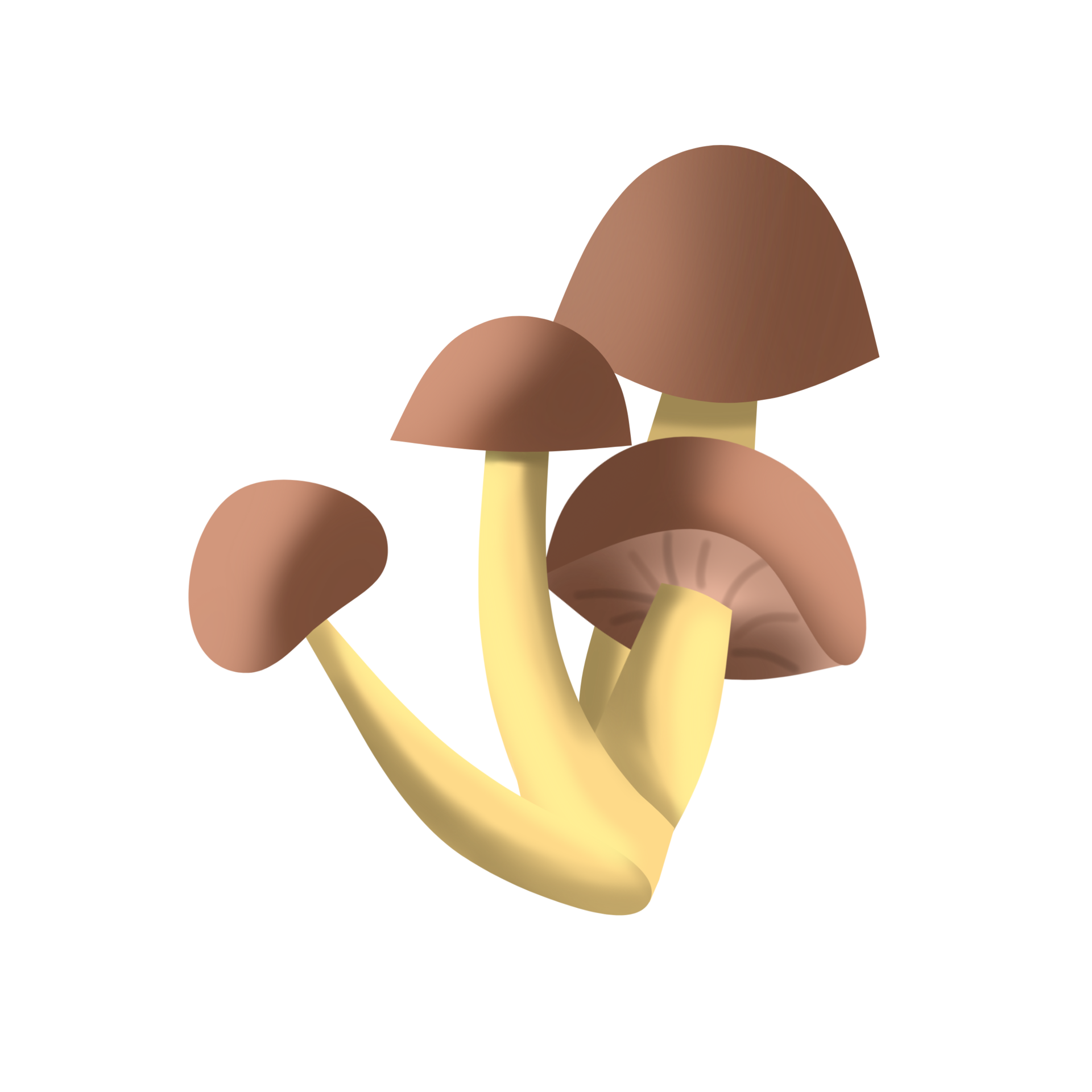 Free Mushroom cartoon illustration 13169260 PNG with Transparent Background