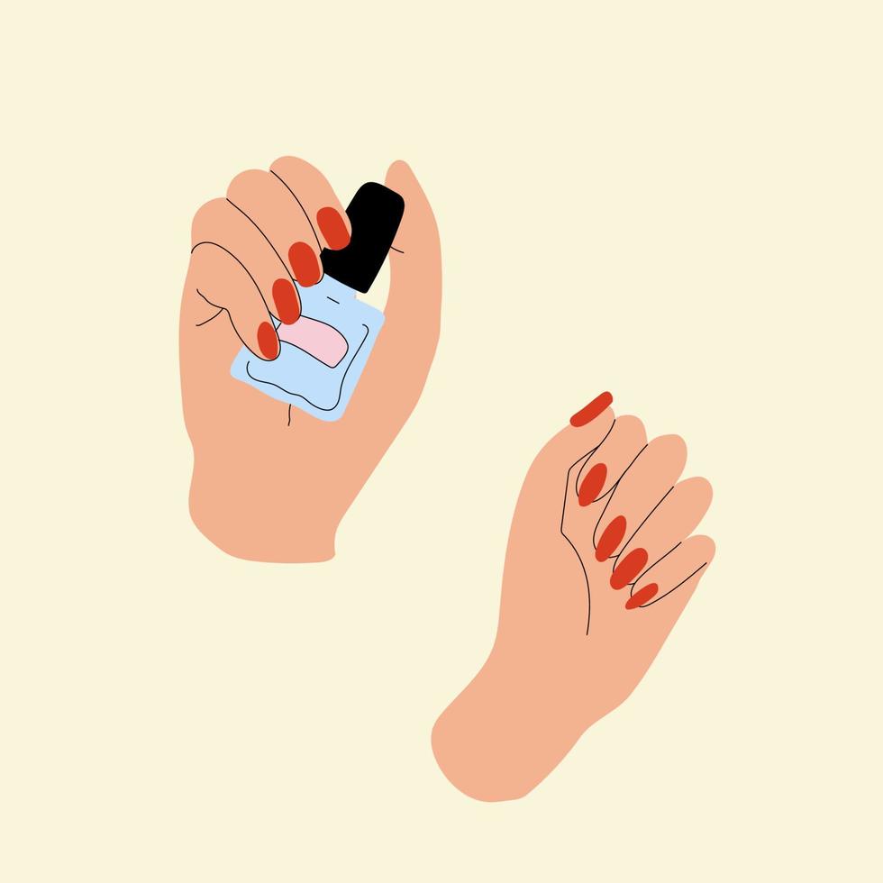 las manos sostienen un frasco de esmalte de uñas, la mano al lado muestra una manicura. vector