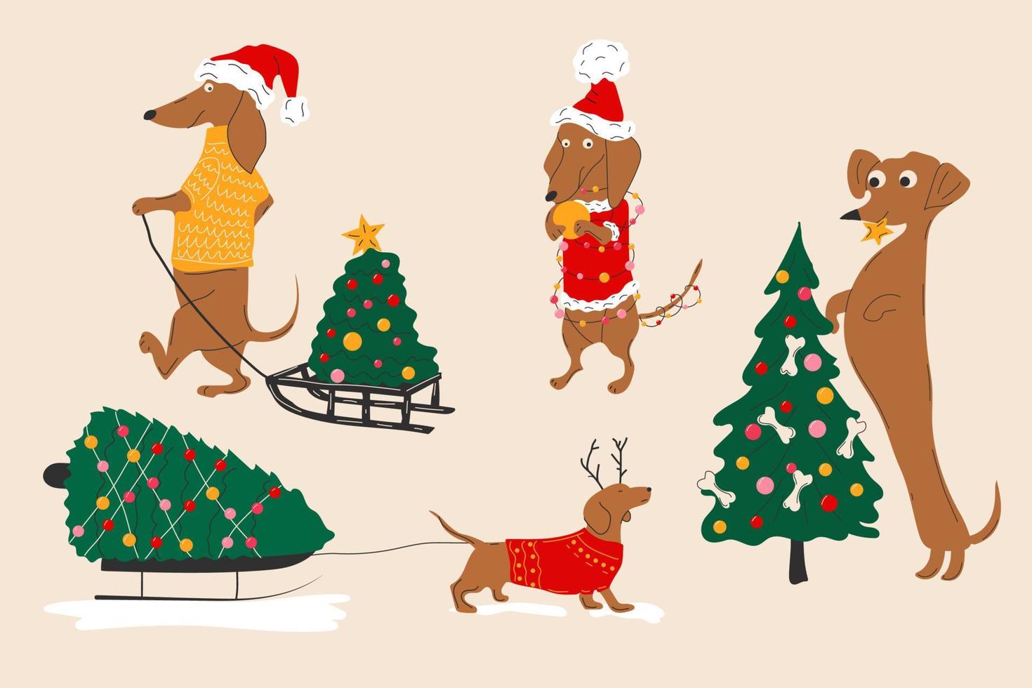 Dachshunds dogs pulls a Christmas tree on a sleigh and decorate Christmas trees. Vector illustration