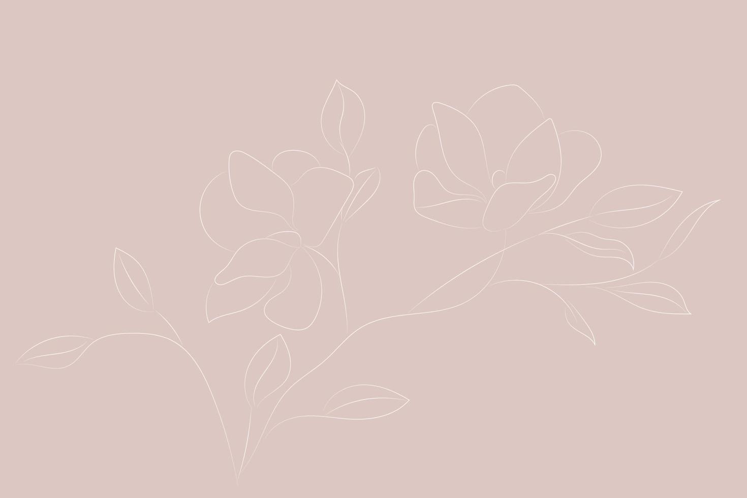 fondo rosa delicado con un dibujo de contorno de una rama de magnolia, fondo horizontal vector