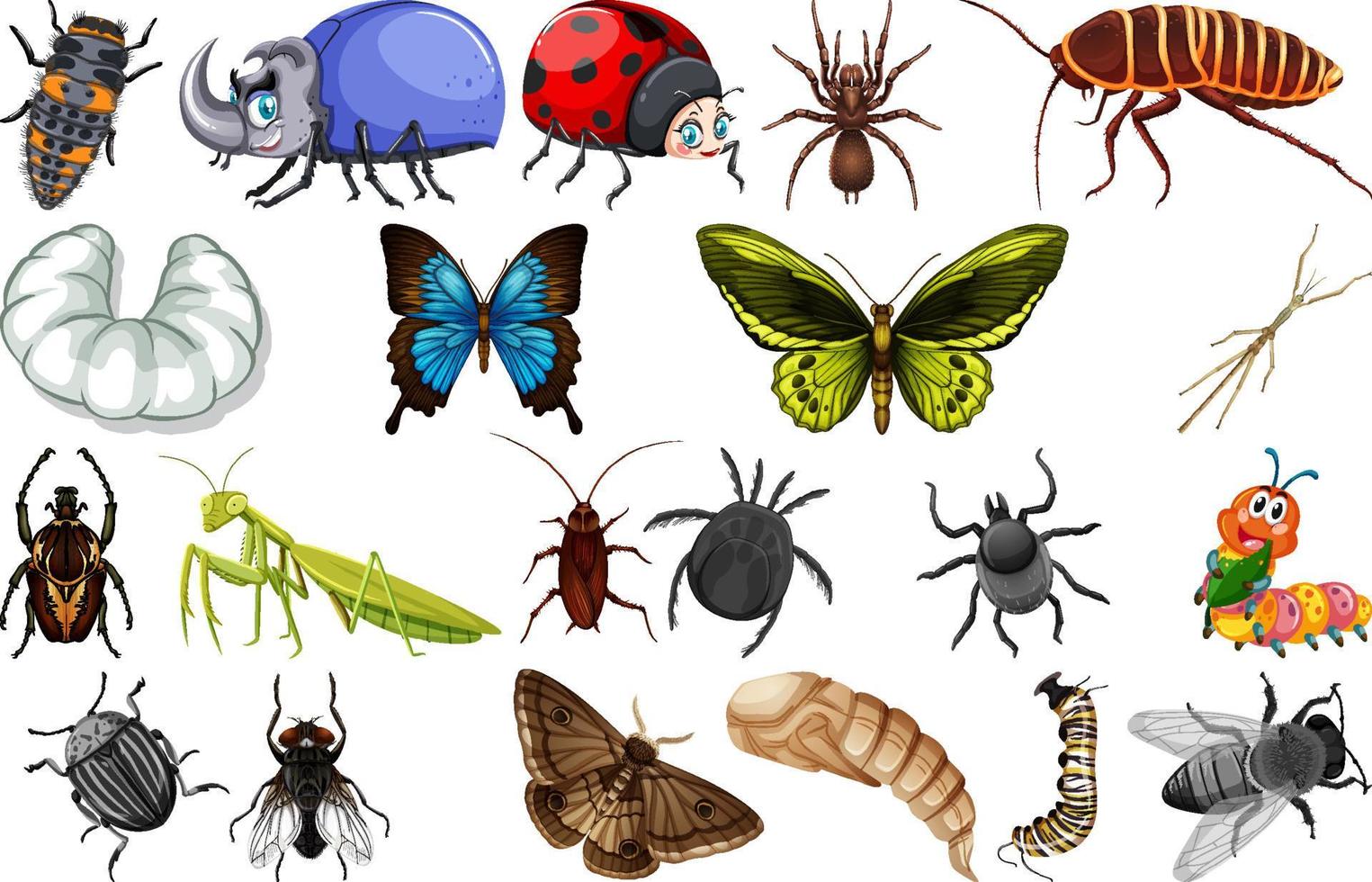 colección de diferentes tipos de insectos vector