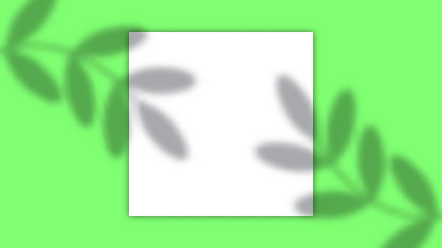 Leaves Overlay Scene Background with Copy Space Area. Suitable for Product Promotion vector