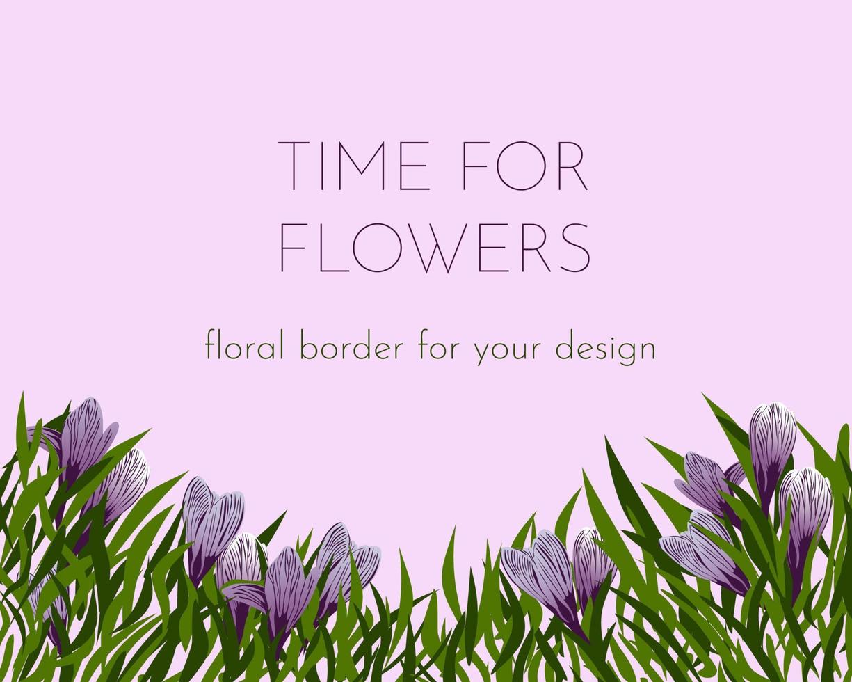 Crocus spring flowers border frame template for card or banner. Blossom spring decor for text. Greeting card saffron floral for your design. For sale flyer vector illustration