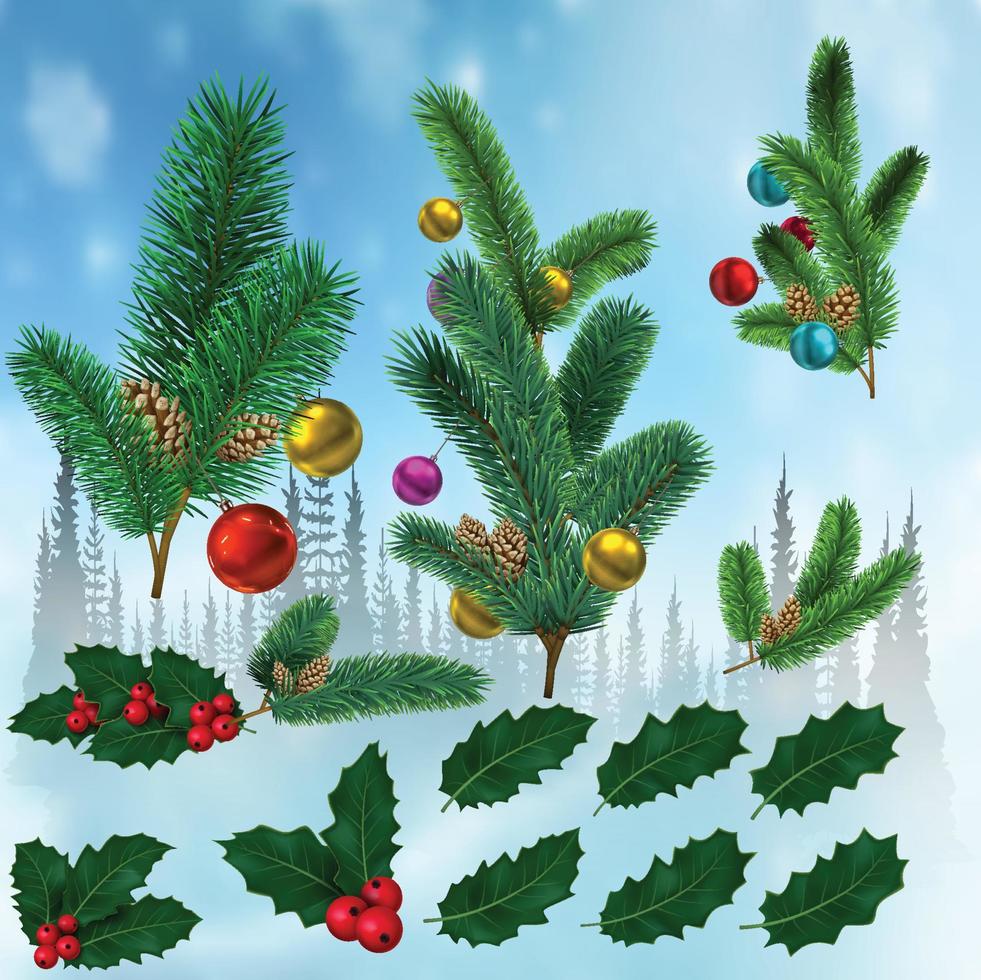holly leaves with red berries fir branches vector