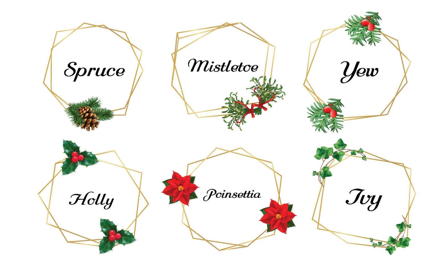 Christmas flowers with gold frame vector