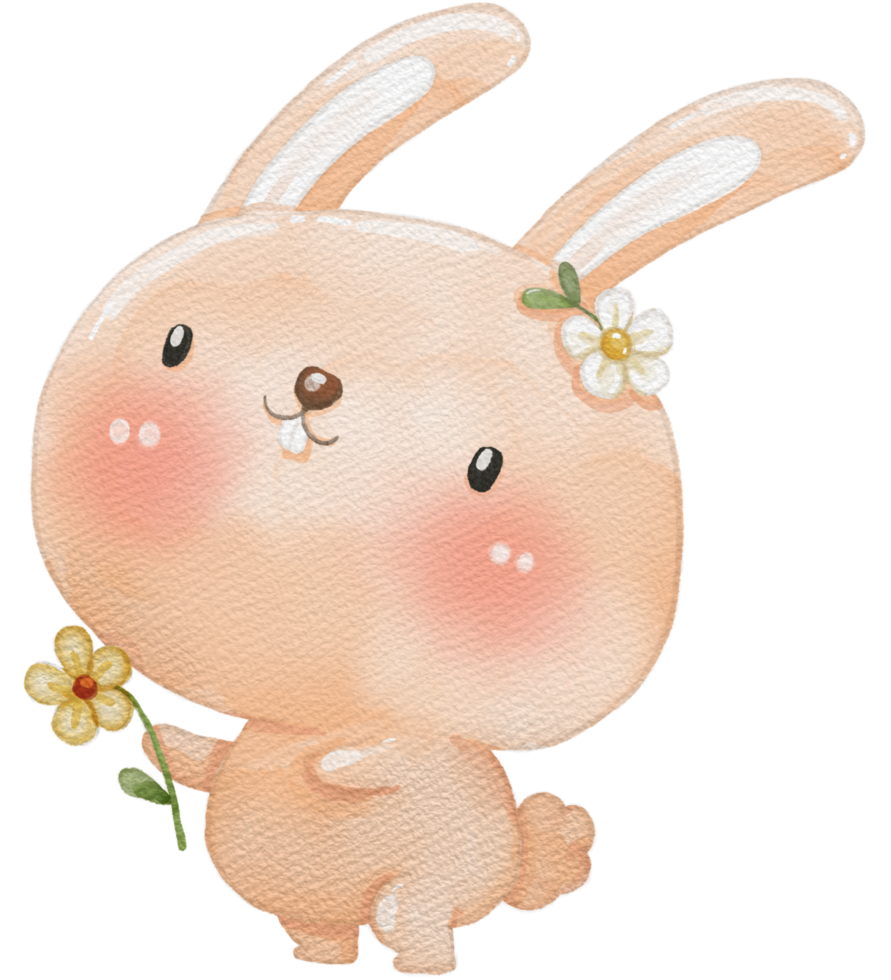 Cute rabbit animal character watercolor png