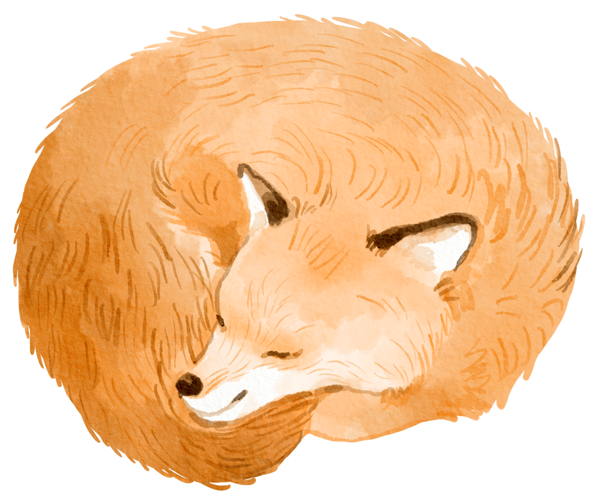 bosco adorabile animale acquerello png