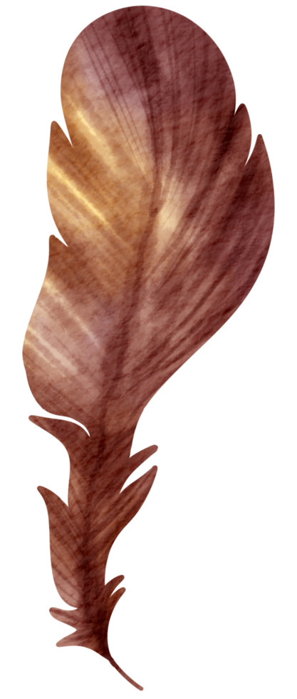 Feather watercolor hand paint png