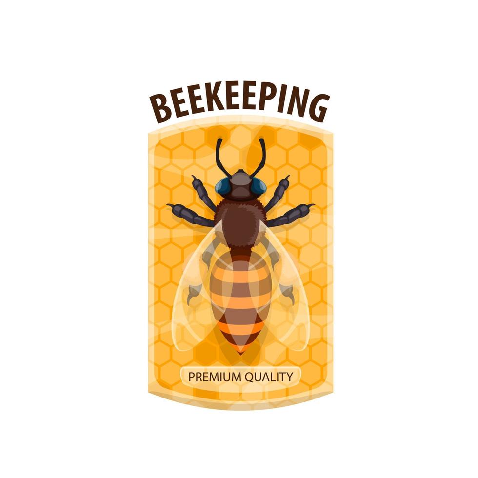 Beekeeping icon with honey bee and honeycomb vector