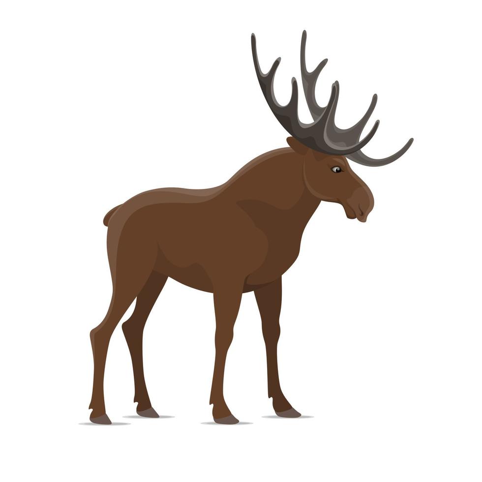 Elk moose vector wild animal isolated icon