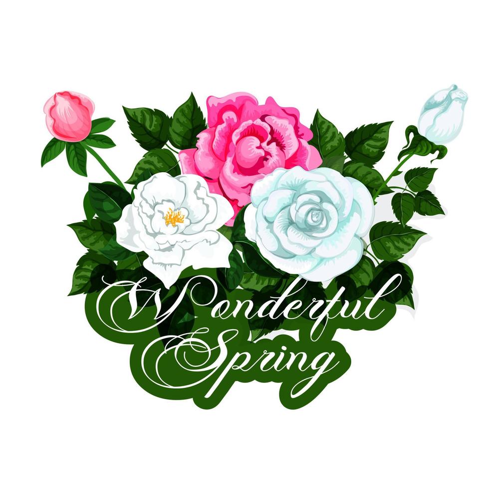 Spring time vector icon of seasonal roses flowers 13173825 Vector Art ...