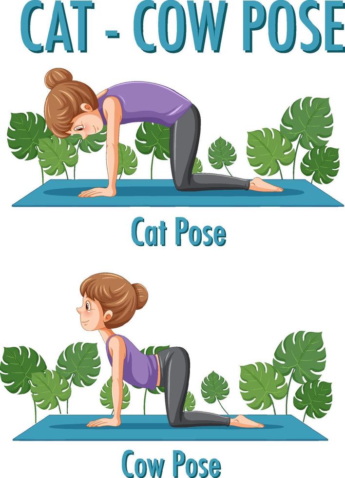 Yoga at home with cat cow pose vector