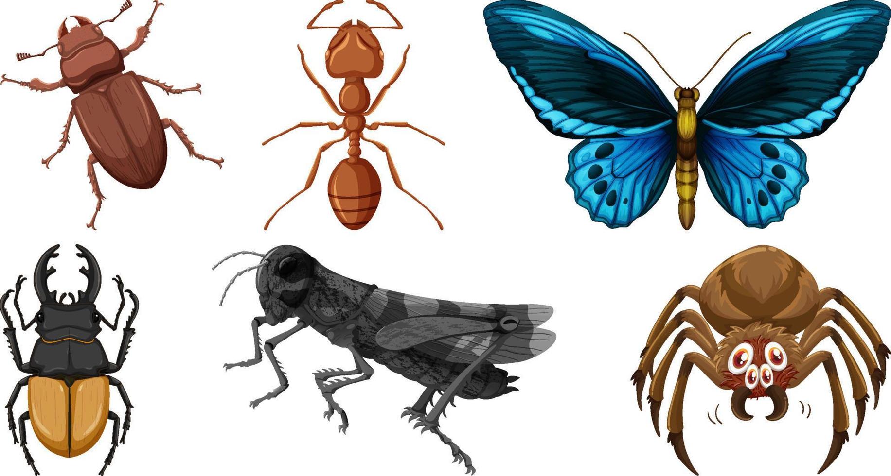 conjunto de diferentes tipos de insectos vector