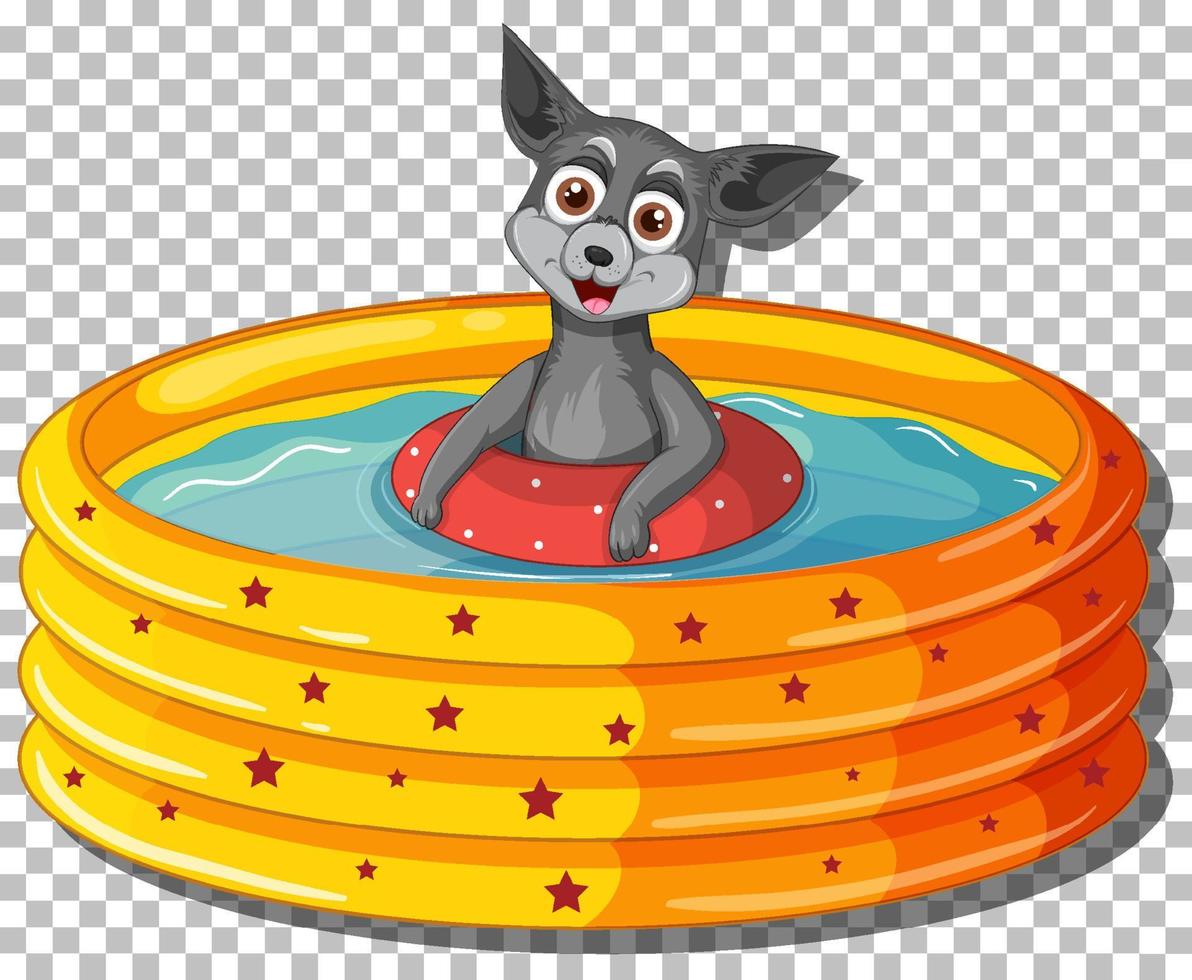 perro chihuahua en piscina inflable vector